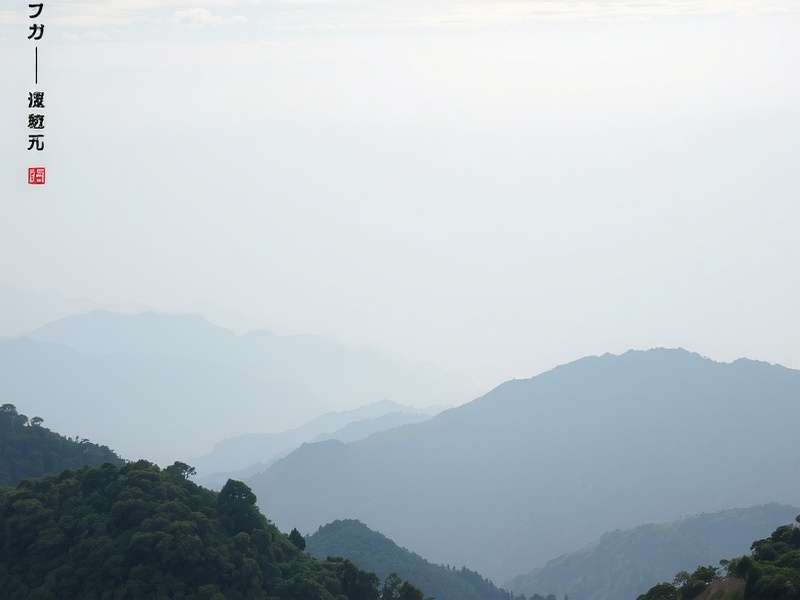 社交媒体营销策略